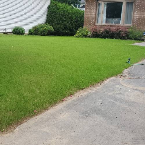 Landscaping