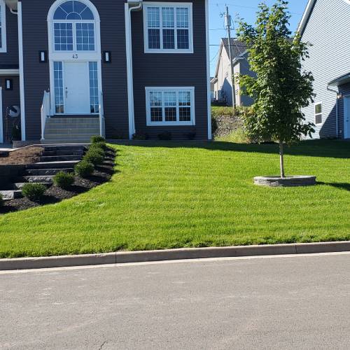 Lawn Building